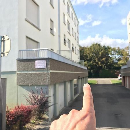 Studio T A 5Mn Euro Airport Avec Terrasse Saint-Louis  Bagian luar foto