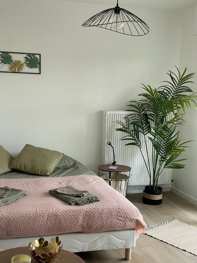 Studio T A 5Mn Euro Airport Avec Terrasse Saint-Louis  Bagian luar foto