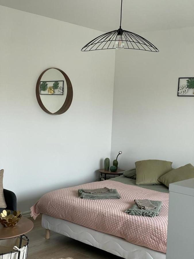 Studio T A 5Mn Euro Airport Avec Terrasse Saint-Louis  Bagian luar foto