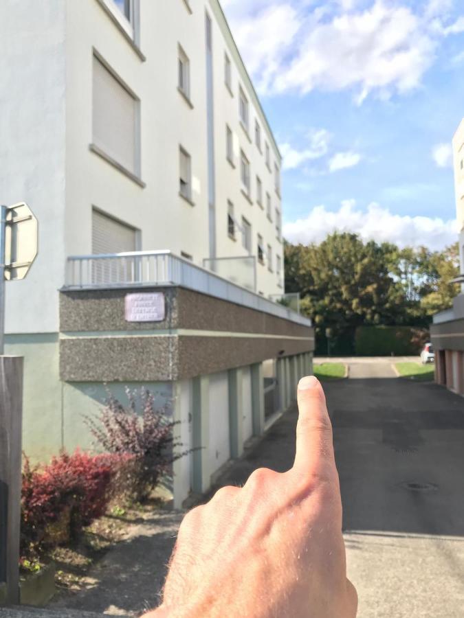 Studio T A 5Mn Euro Airport Avec Terrasse Saint-Louis  Bagian luar foto